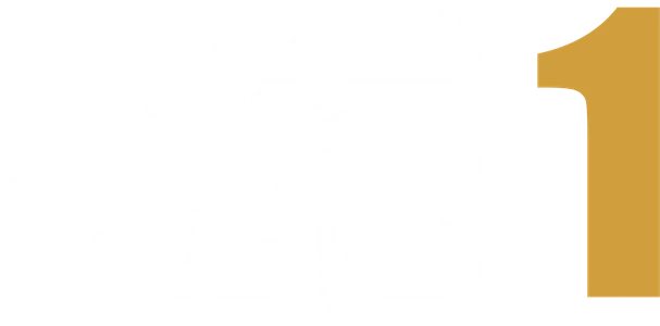 الفريق الحكومي الواحد