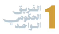 الفريق الحكومي الواحد