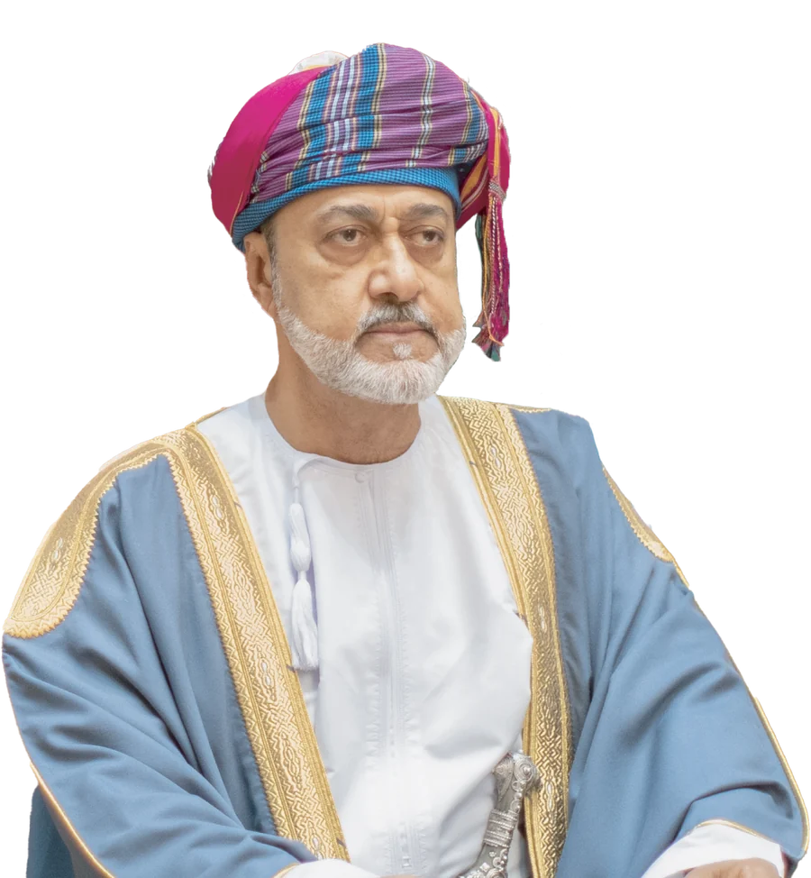 الفريق الحكومي الواحد